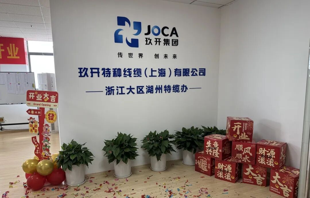 环亚集团咸宁特办缆成立